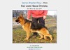 Kai V. Haus Christa CGC DN377111/02 12-14 (Hungary) Black & Red AKC DNA #V737951