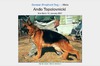 Ando Topolovnicki DN183405/01 01-09 (Yugoslavia) Black & Tan AKC DNA #V539813