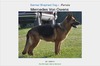 Mercedes Vonowens DN186681/01 04-10 Black & Tan AKC DNA #V497443
