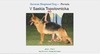 Saskia Topolovnicka JR SP 714474 NO