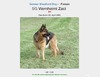 Viernheimi Zaci DN118889/02 10-07 (Hungary) Black & Red AKC DNA #V476419