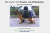 Krassi Von Witenberg DN189508/01 12-07 (Yugoslavia) Black & Tan AKC DNA #V487464